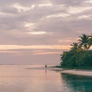 Huấn luyện viên